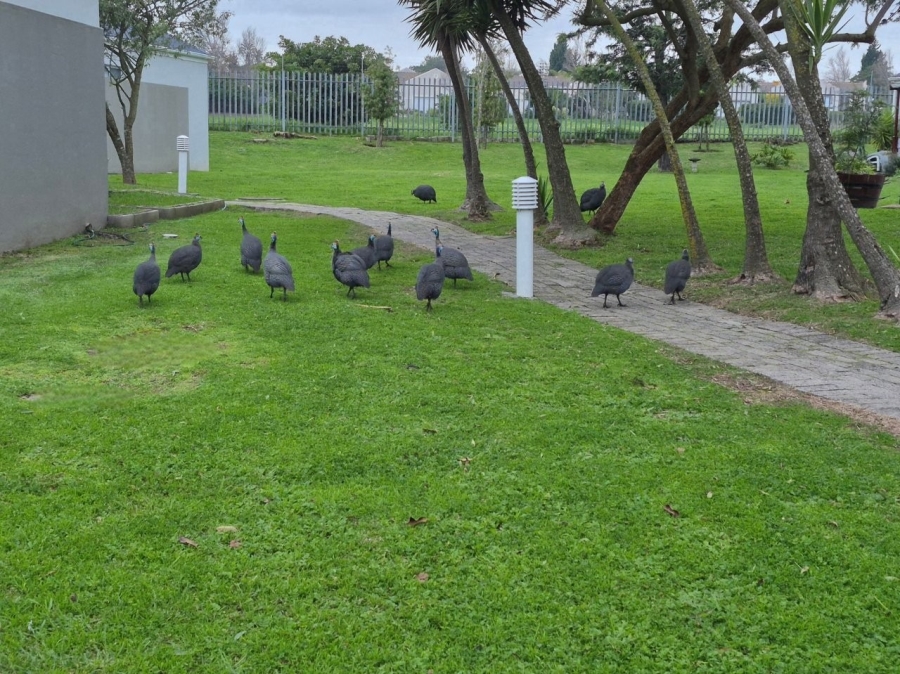 2 Bedroom Property for Sale in Goedemoed Western Cape